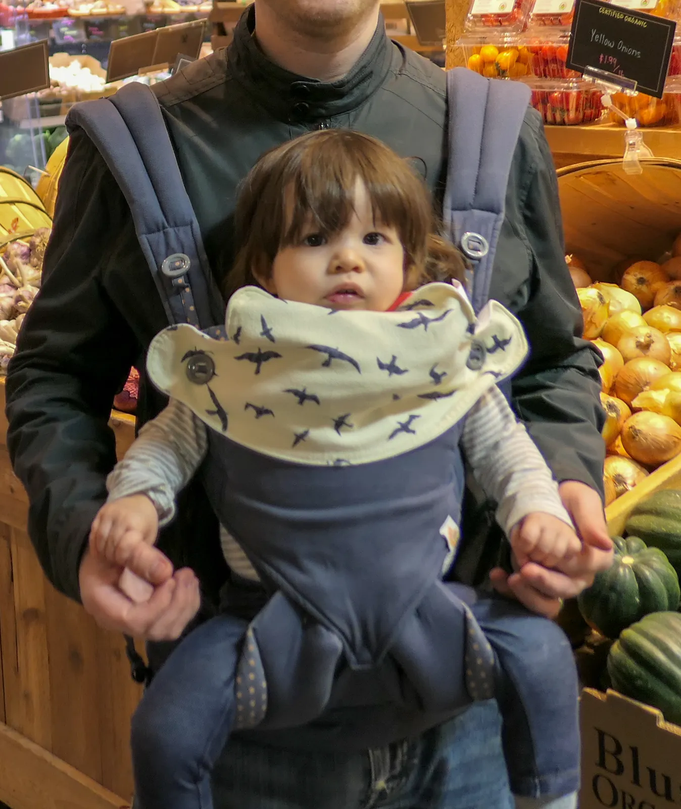 Ergobaby Omni 360 Review: Newborn to Toddler | Keen Review