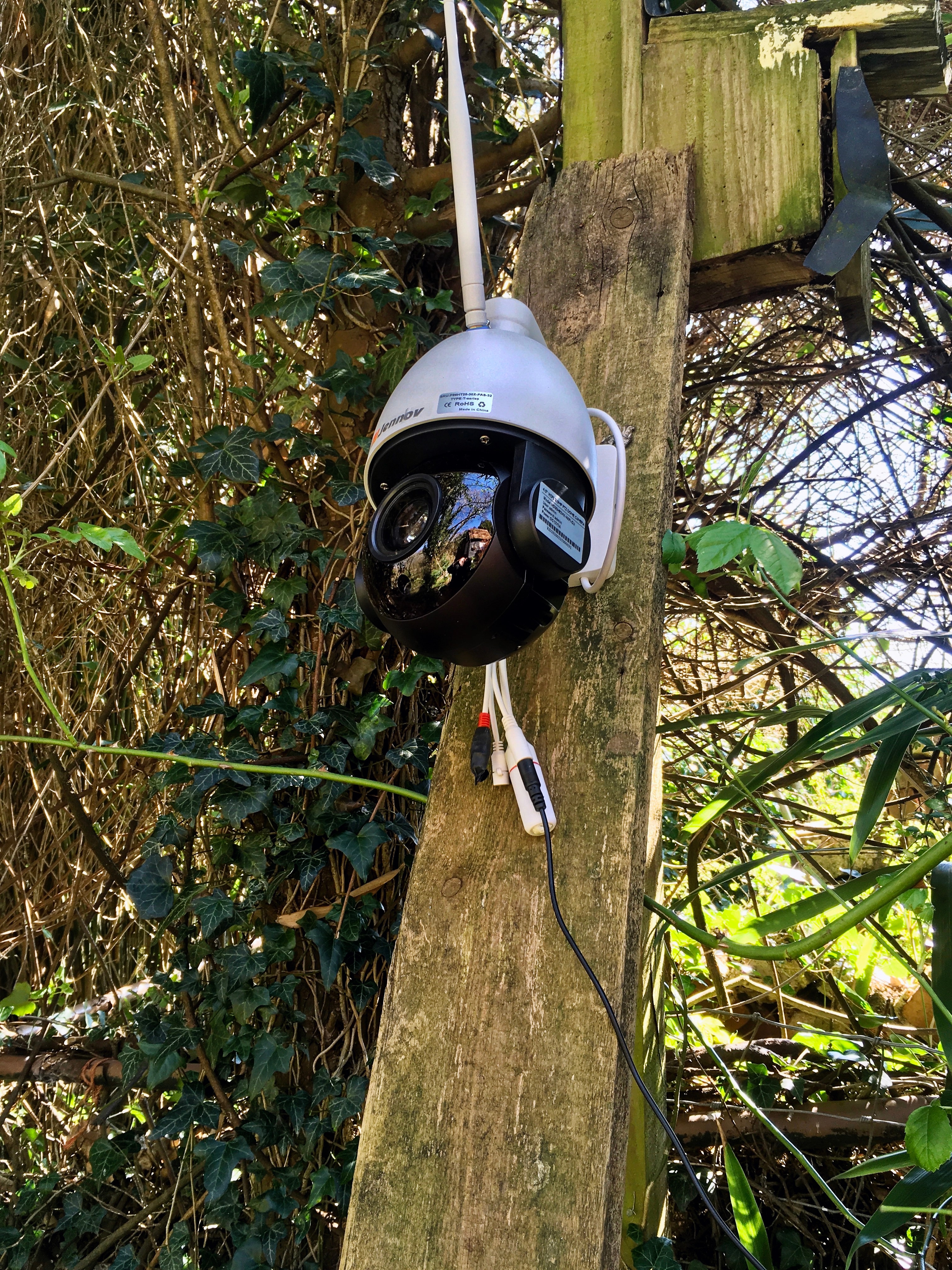 Home Security Camera Buying Guide: Local vs. Cloud Storage